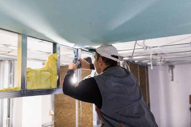 Best Commercial Insulation in Pontiac, IL
