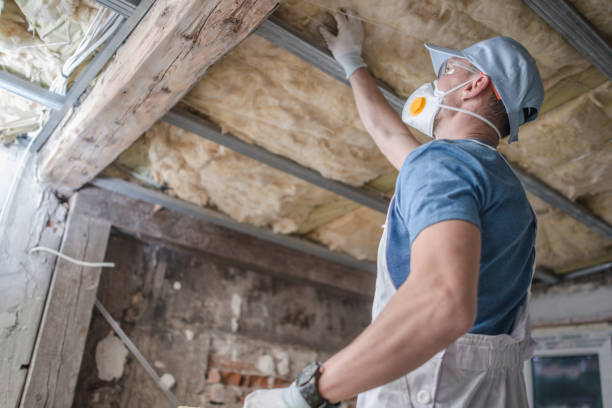  Pontiac, IL Insulation Contractor Pros