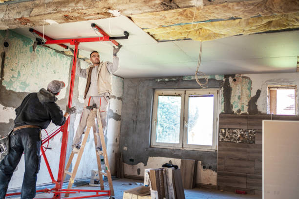 Best Insulation Installation Services in Pontiac, IL