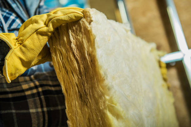 Best Residential Insulation in Pontiac, IL
